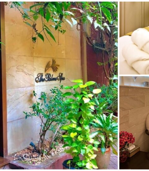 The Palms Spa Colaba Logo - Award-Winning Luxury Spa Mumbai