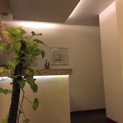 The Palms Spa Colaba Logo - Award-Winning Luxury Spa Mumbai
